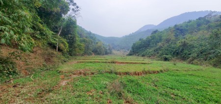Đi đến slide 11