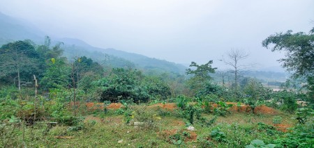 Chỉ 800 Triệu/Ha – Bán Đất Đẹp Gần Khu Công Nghiệp Yên Quang