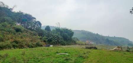 Đi đến slide 7