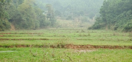 Đi đến slide 8