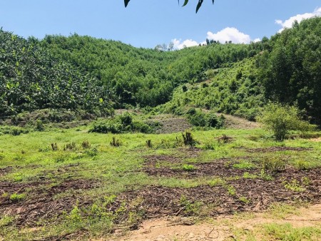 gia đình cần bán 8.000m2 có Suối chảy giưã đất giá chỉ 1 tỷ 400tr LH 0788.558.552