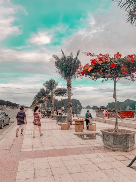 Đi đến slide 6