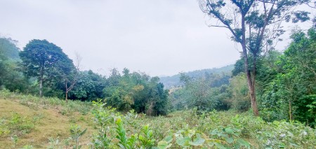 Đi đến slide 9