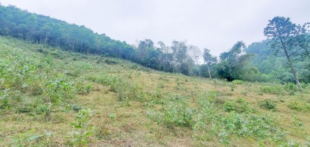 Đi đến slide 10