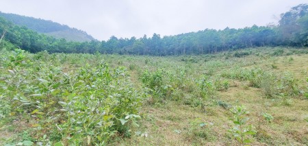 Đi đến slide 11