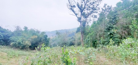 Đi đến slide 13