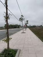 Đất nền đấu giá Thị Trấn Nga Sơn