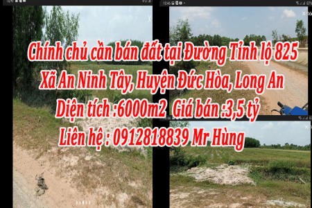 Chính chủ cần bán đất tại Đường Tỉnh lộ 825, Xã An Ninh Tây, Huyện Đức Hòa, Long An