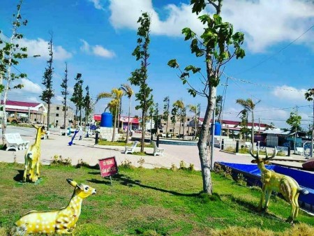 BÁN đất nền TT Thạnh Phú cách kcn 300m giá đầu tư F1