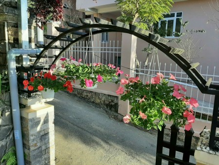 Nhà Đất Đà Lạt cần bán nhà đường ôtô tải rộng rãi thoải mái khu đông dân cư phù hợp cho việc định cư lâu dài .đầu tư sinh lời