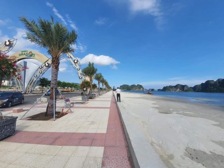 Đi đến slide 6
