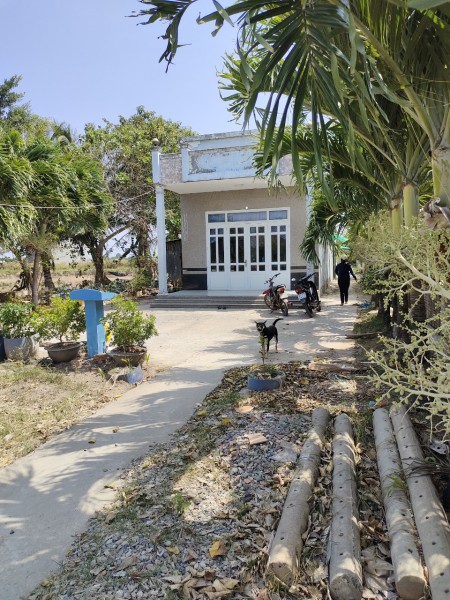 Chính Chủ Bán Gấp Lô Căn Nhà Tại Phường Nhà Mát, TP Bạc Liêu, Tỉnh Bạc Liêu