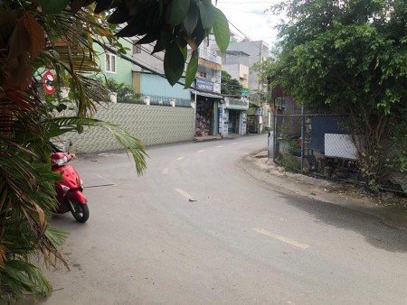 Cho thuê Nhà MT Đường 11, Trường Thọ, Thủ Đức
