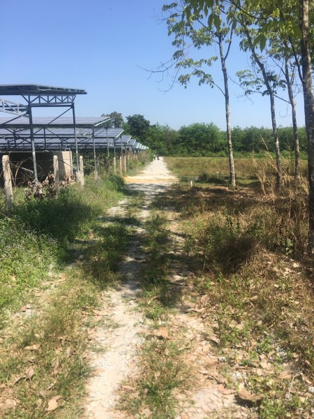 Cần bán sào Đất vườn tại dầu tiếng bình dương gần khu công nghiệp