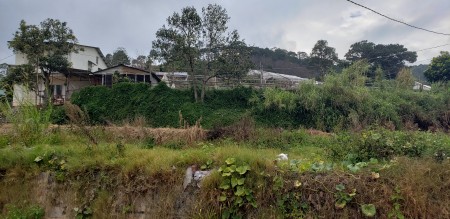 Cho Thuê Đất Nông Nghiệp , Dinh 1 , Đường Trần Thái Tông, F.10, Đà Lạt