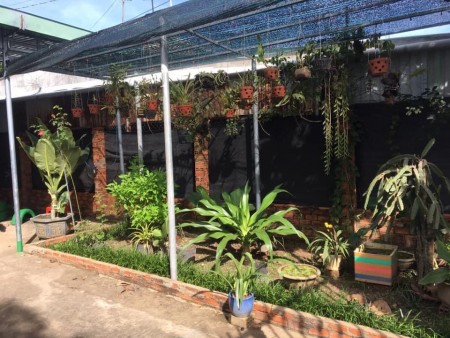 Bán Nhà nằm Trục chính Trần Hưng Đạo nối dài