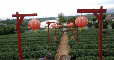 Đi đến slide 2
