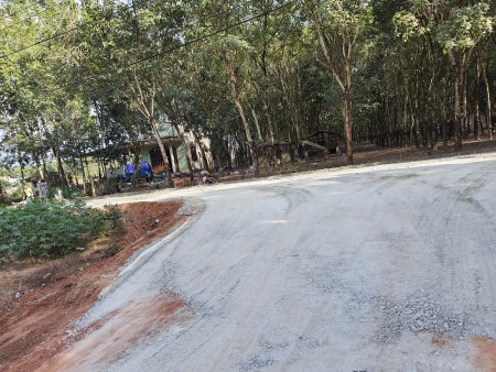 Cần bán sào đất vườn dầu tiếng ngang 14m tại bình dương