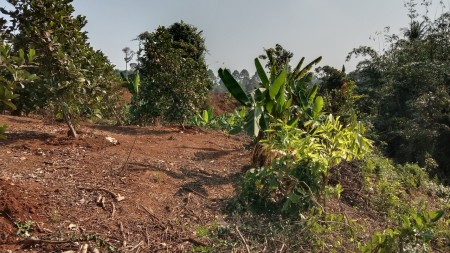 Đi đến slide 8