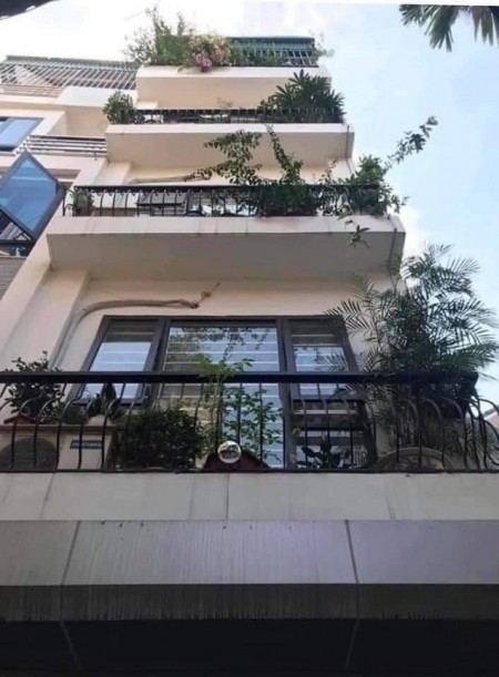 Tôi cần bán gấp nhà 7 tầng Phạm Ngọc Thạch, giá 6.7 tỷ.