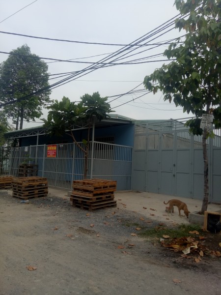 Kho xưởng 1000m2 xe container QL1A.Tân thới Hiệp. Q12
