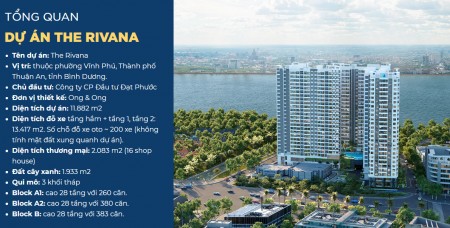 Đi đến slide 8