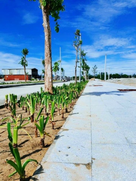 Đất nền mặt tiền Sông Cổ Cò - Rosa RiverSide Complex