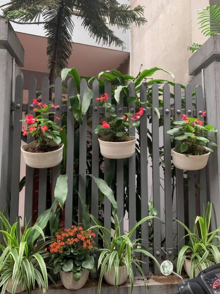Đi đến slide 2