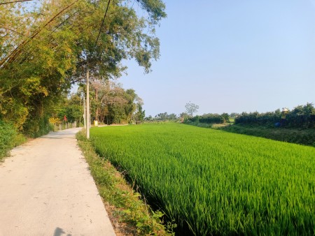 Đi đến slide 7