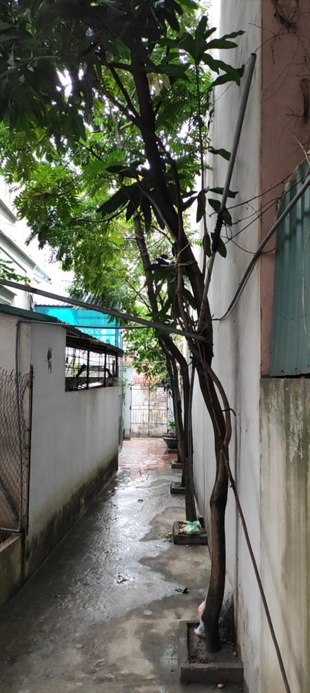 Đi đến slide 6