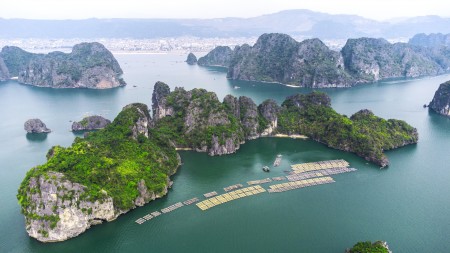 Bán đất nền ven biển view vịnh Bái Tử Long đầu năm nhận lì xì cực KHỦNG lên đến 300 triệu