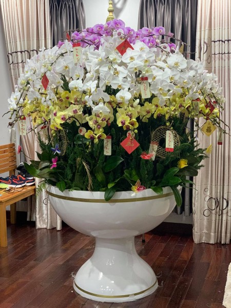 Đi đến slide 3