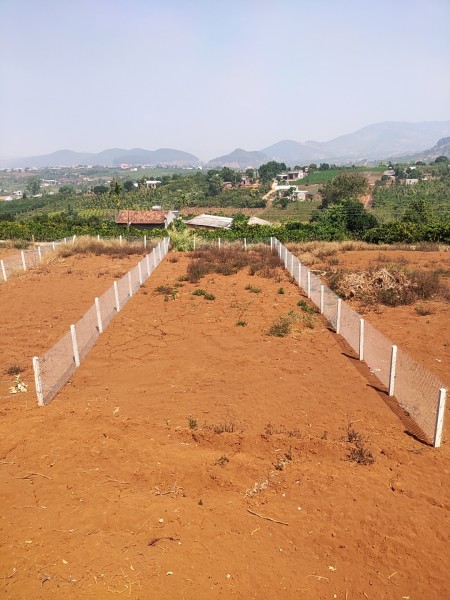 Chính chủ bán 450m2 Đất Đông Thanh, Lâm Hà, Lâm Đồng giá đầu tư