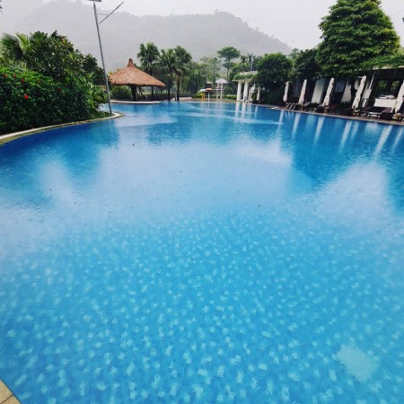 Đi đến slide 2