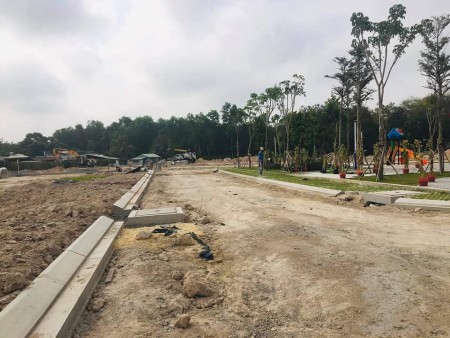 Đi đến slide 4