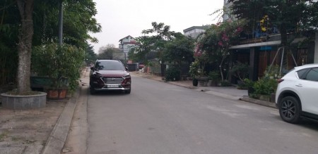 Bán đất biệt thự 31ha Trâu Quỳ, Gia Lâm. DT 259m, MT 13m, hướng Đông Bắc đường 15m