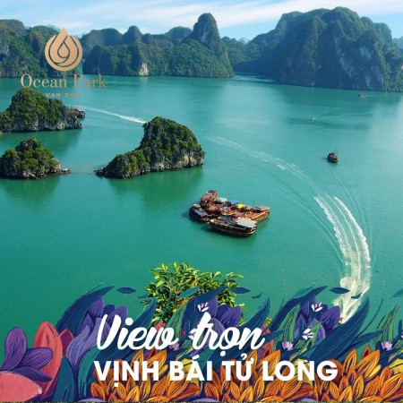 Đi đến slide 2