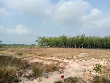 Do kẹt tiền nên tui cần bán miếng đất ở nhà có chiều ngang 6m!
