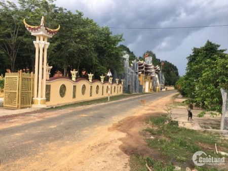 Đất làm vườn cần bán gấp có việc tai Định An, Dầu Tiếng