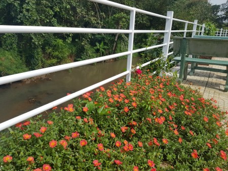 Đi đến slide 2