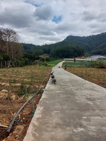 Đi đến slide 5