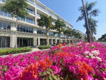 Đi đến slide 2