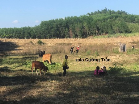 Bán 1ha2 giáp Suối xã Khánh Phú giá rẻ view đẹp làm vườn LH 0788.558.552