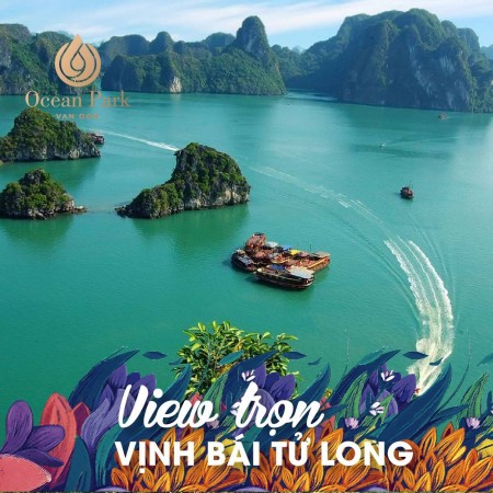 Đi đến slide 3