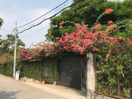 SIÊU PHẨM VILLA 4000M2 QUẬN 2 GIÁ 57TR/M2 CÒN TL CHƯA QUA ĐẦU TƯ MUA TỪ 1995. LH: 0948522889