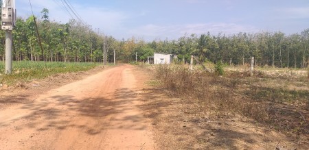 Đất nền Hớn Quản, chính chủ, khỏi trung gian