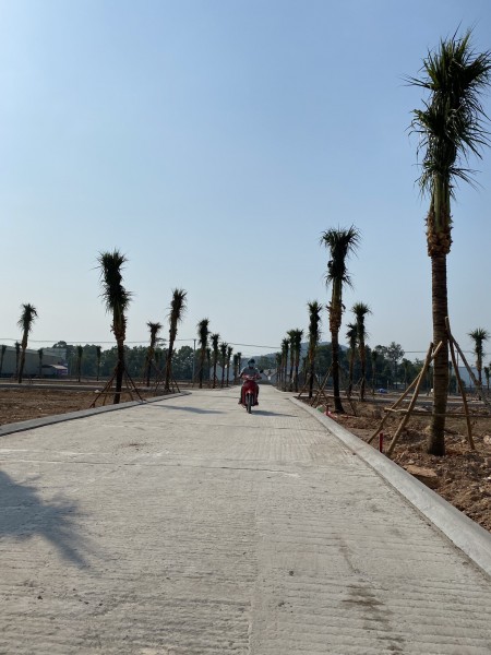 Chuẩn bị mở bán tóp siêu phẩm của mặt tiền tuyến tránh khu đất vàng