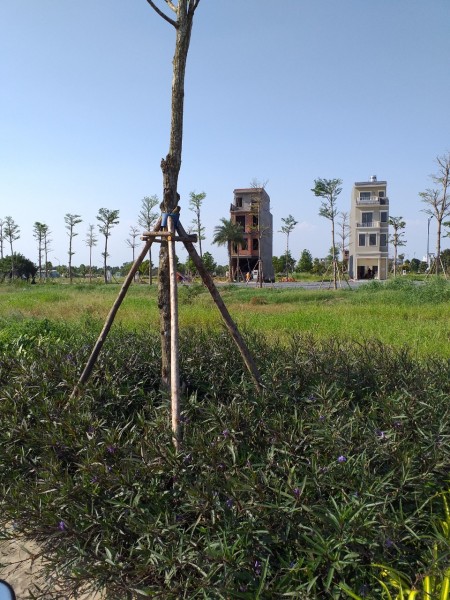 Đất Bình Chánh giá rẻ đầu năm cần thanh lí