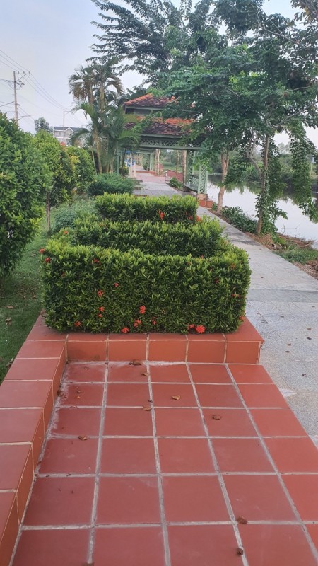 Bán nền tại kdc Cát Tường Phú Sinh, ngay kế kỳ quan dt 48 m vuông