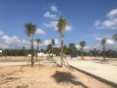 Đi đến slide 5